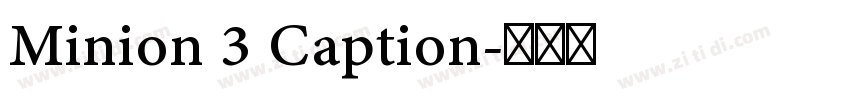Minion 3 Caption字体转换